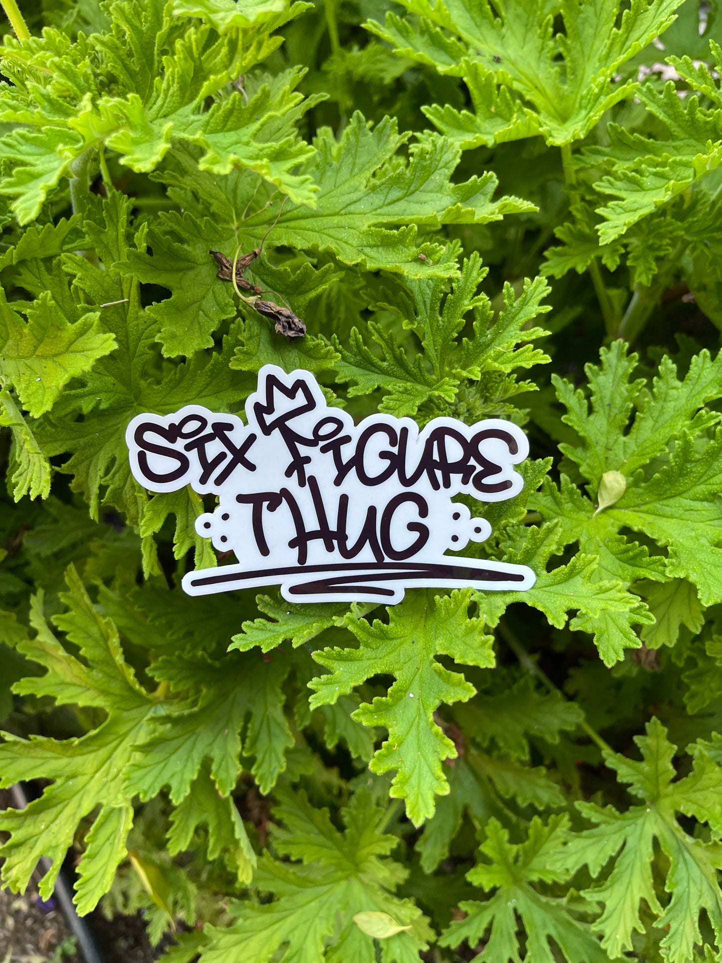 Six Figure Thug sticker