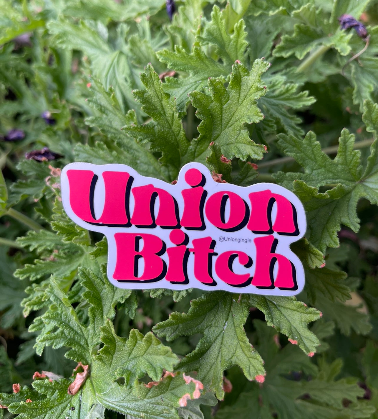 Union Bitch hard hat sticker