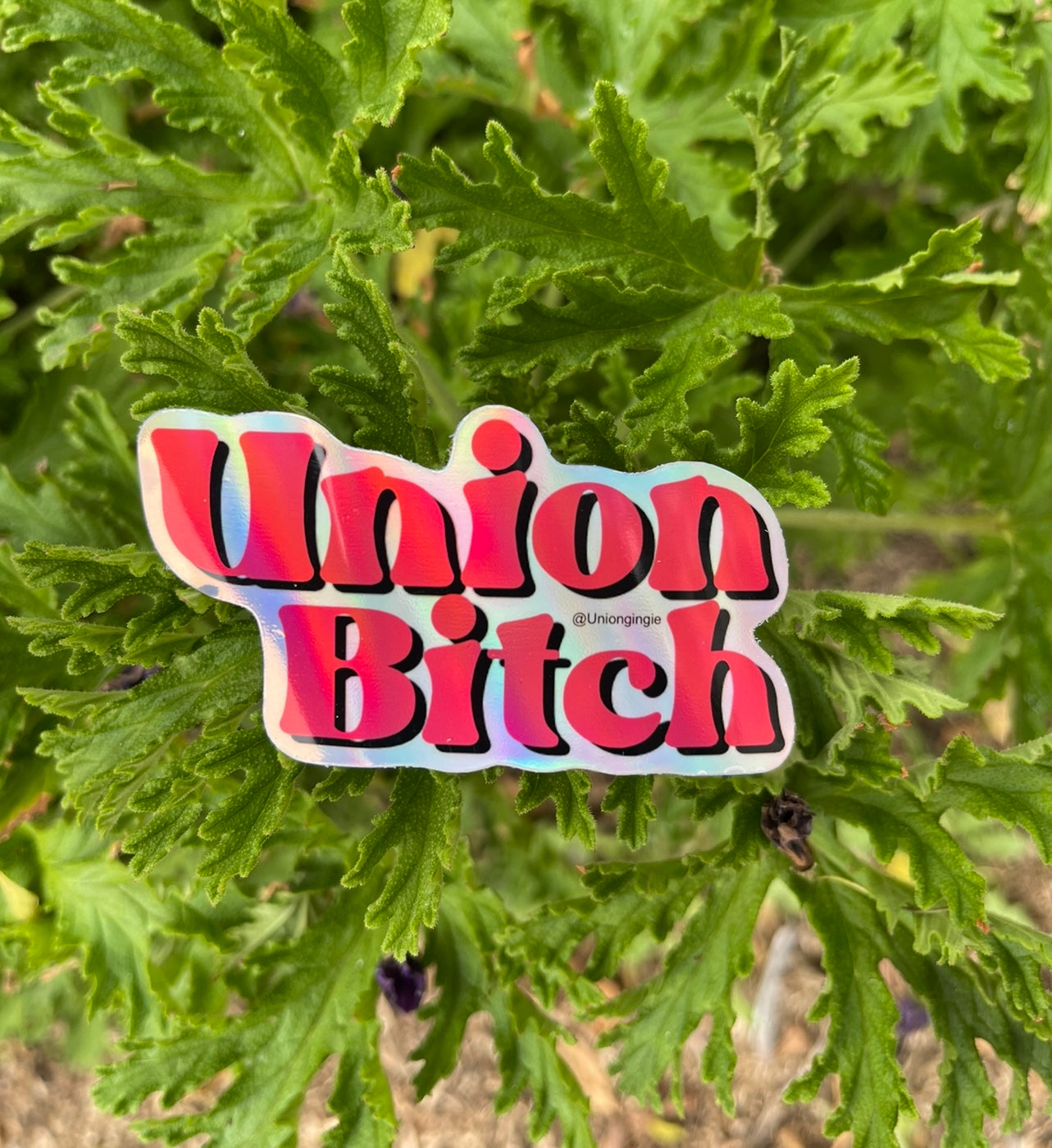 Union Bitch hard hat sticker